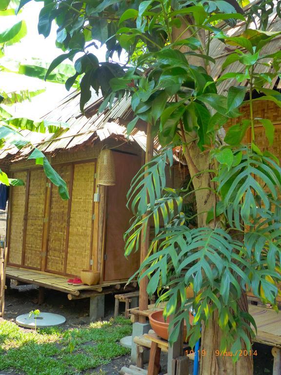 Bluebird Eco Village Chiang Mai Exterior foto