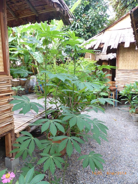 Bluebird Eco Village Chiang Mai Exterior foto