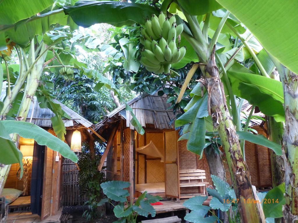 Bluebird Eco Village Chiang Mai Exterior foto